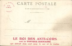 Nice - Gardens and the Municipal Casino - CPA