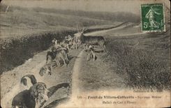 Foraªt de Villers Cotterets - Menier Crew - Hallali de Cerf has Fleury - Hunting - dog - hunting dog - CPA Hunt