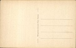 Pau - Strasse der Pyrenees - CPA