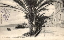 CPA Nice Walk of the South