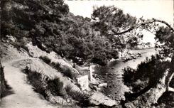 CPA Toulon Path coastguards the pines lean