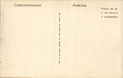 CPA Lourdes the basilica and Gave