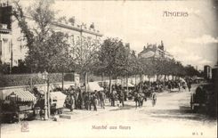 CPA Angers Market with the flowers