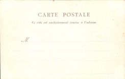 CPA Angers Market with the flowers