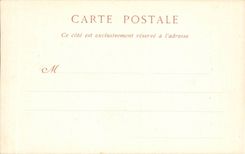 Lyon CPA Statue of Louis XIV