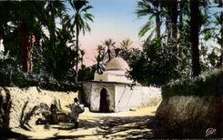 CPSM Scenes and standard Algeria Marabout in the oasis
