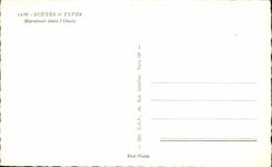 CPSM Scenes and standard Algeria Marabout in the oasis