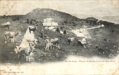 CPA Aix les Bains Plateau of Revard Chains Mount Blanc Cows