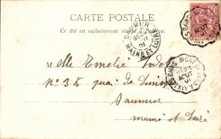 CPA Aix les Bains Plateau of Revard Chains Mount Blanc Cows