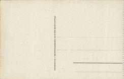 CPA Lourdes the basilica and the cave