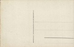 CPA Lourdes the strong castle and Gave