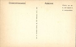 CPA Cathedral of Albi