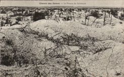 CPA Way of the Ladies the plate of California