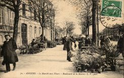 CPA Angers Market with the flowers Boulevard of town hall TOP