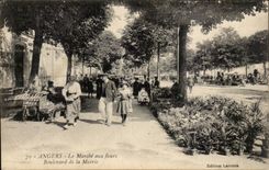 CPA Angers Market with the flowers Boulevard of town hall TOP