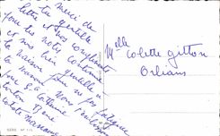 CPA Fantasy Elephant Monkey Lion Tiger co Catherine