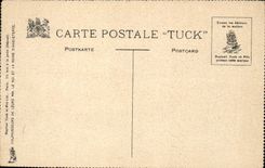 CPA Fantasy Parks with the bull