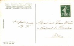 CPA Phantasie bluht Rosen