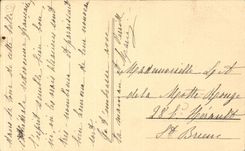 CPA Strasbourg the cathedral a nest of storks