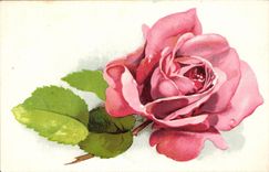 CPA Phantasie-Blume Rose