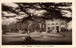 CPA Rennes le Thabor Sous le grand cedre