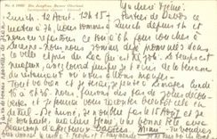 CPA Die Jungfrau Berner Oberland Edelweiss