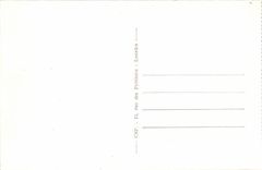 Lyon CPA the Wilson bridge and the hotel God