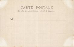 CPA Chateau de Chenonceaux 