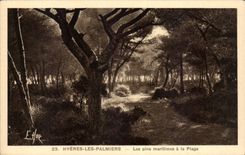 CPA Hyeres Palme-Seekiefern mit dem Strand
