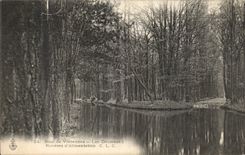 CPA Paris Wood of Vincennes Lake Daumesnil Rivers of food