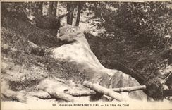 CPA Drill of Fontainebleau the nigger head