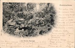 Fontainebleau - the Rock Sponges - CPA
