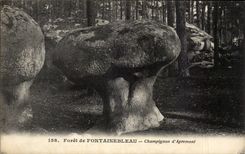 Drill of Fontainebleau - Mushroom of Apremont - CPA