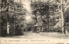 CPA Fontainebleau the drill Crossroads of large Fouteau