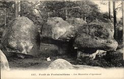 CPA Drill of Fontainebleau mausoleums of apremont