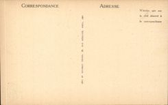 CPA Orleans View and the bridge Georges V