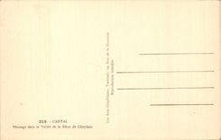 CPA Cantal Pasture in the valley of Rhue de Cheylade