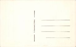 CPA Orleans the bumblebee of the cathedral