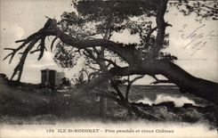 CPA Ile Stifte Str-Honorat mager und altes Schloss