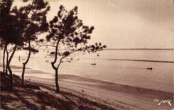CPA Bassin d'Arcachon La plage au Moulleau