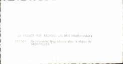 CPSM the Languedocien vineyard in the area of Montpellier