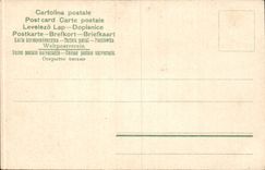 CPA Large Italy italia Venezia Canale attiguo Al canal