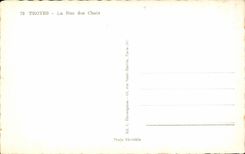 Troyes CPA the street of the cats