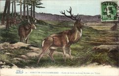 CPA Drill of Fontainebleau Herd of stags to the long rock by Virion