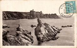 CPA Insel von Yeu das wilde Mass und das alte Schloss