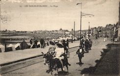 Sande von olonne CPA das Strand Esels-Esel-Maultier