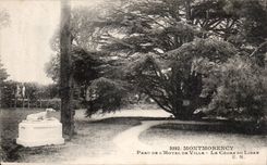 CPA Montmorency Park of the town hall the cedar of Lebanon