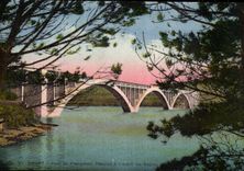 CPA Brest Pont de Plougastel Daoulas a travers les pins