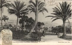 Nizza CPA die neuen Garten Palmen