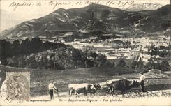 CPA Bagneres de Bigorre View Cows